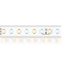 EXTRA 120 WW+CW IP67 20W 2000lm (доп. и основной свет) EXTRA 120 WW+CW IP67 20W 2000lm (доп. и основной свет)